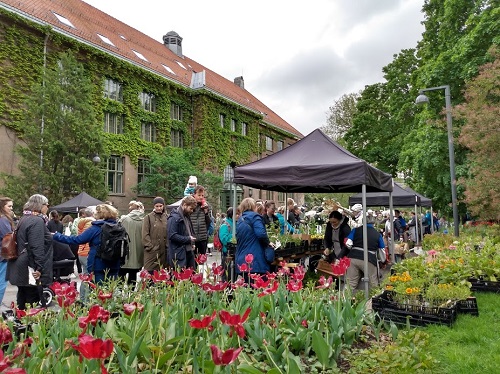 Røde tulipaner foran Plantemarkedet 2019 Foto: Marianne Lange Karlsen