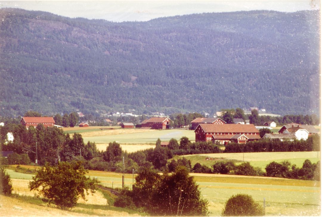  Store, rødmalte låver ligger bredt utover en lysegul åker, med et tredekt fjell i bakgrunnen.