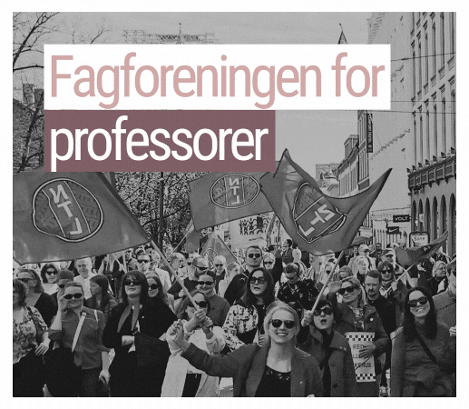 GIF med bilde av NTL-medlemmer i 1. mai-tog, og teksten "fagforeningen for" og mange ulike stillinger, fra gartner til professor. Det avsluttes med "Fagforeningen for alle ved UiO"
